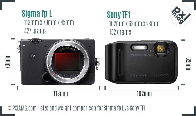 Sigma fp L vs Sony TF1 size comparison