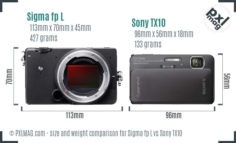 Sigma fp L vs Sony TX10 size comparison