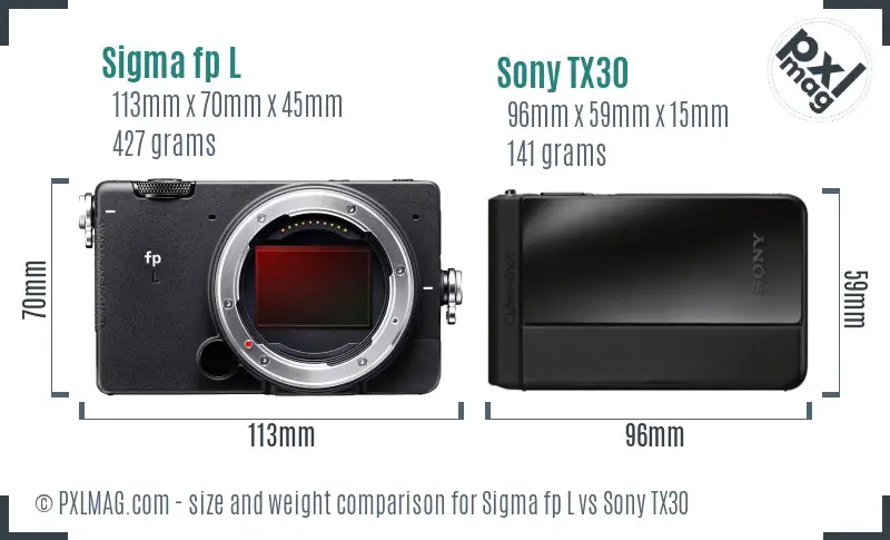 Sigma fp L vs Sony TX30 size comparison