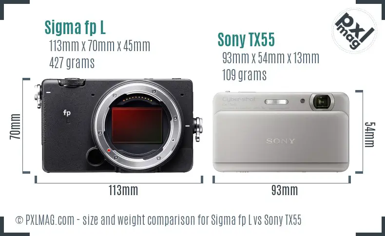 Sigma fp L vs Sony TX55 size comparison