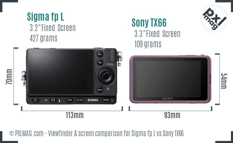 Sigma fp L vs Sony TX66 Screen and Viewfinder comparison