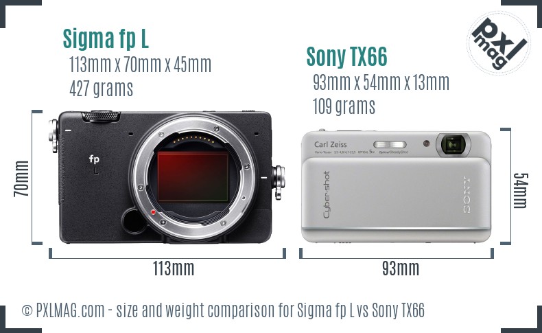 Sigma fp L vs Sony TX66 size comparison