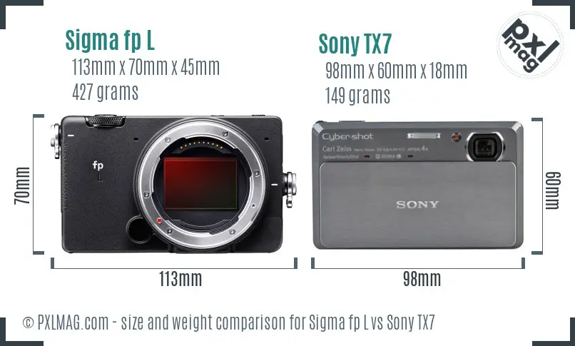 Sigma fp L vs Sony TX7 size comparison