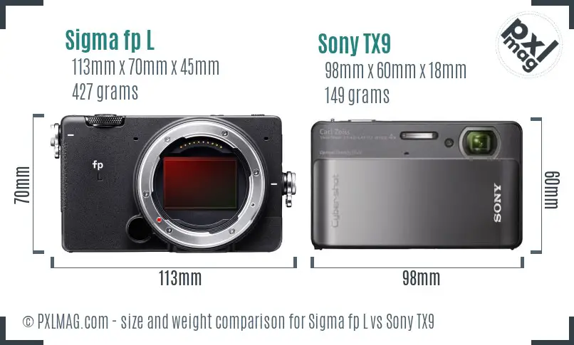 Sigma fp L vs Sony TX9 size comparison