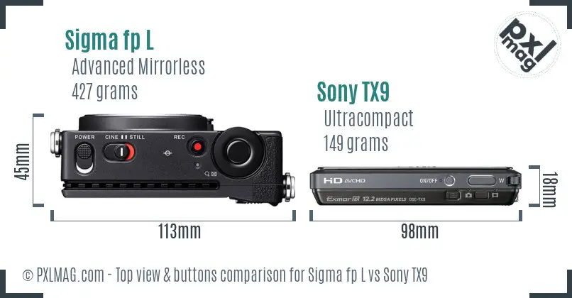 Sigma fp L vs Sony TX9 top view buttons comparison