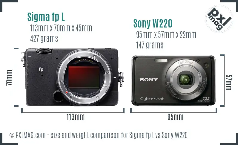 Sigma fp L vs Sony W220 size comparison