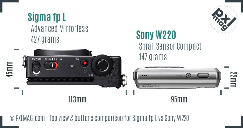 Sigma fp L vs Sony W220 top view buttons comparison