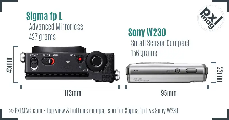 Sigma fp L vs Sony W230 top view buttons comparison