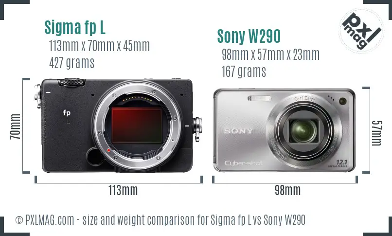 Sigma fp L vs Sony W290 size comparison