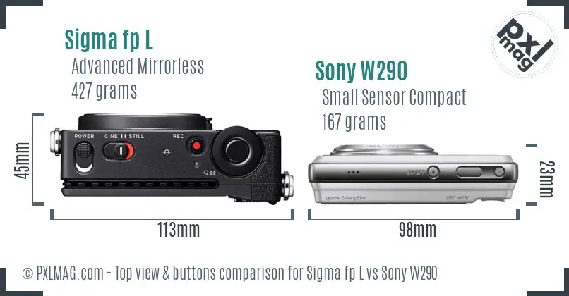 Sigma fp L vs Sony W290 top view buttons comparison