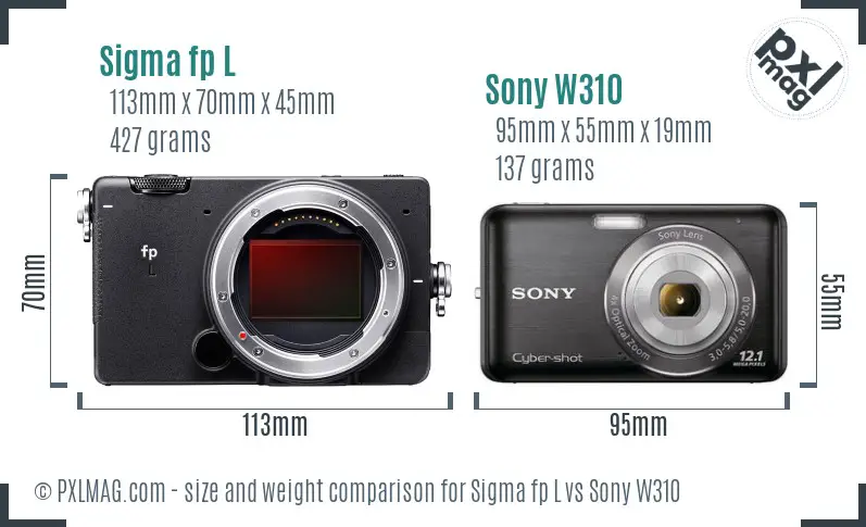 Sigma fp L vs Sony W310 size comparison