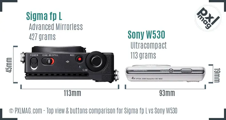 Sigma fp L vs Sony W530 top view buttons comparison