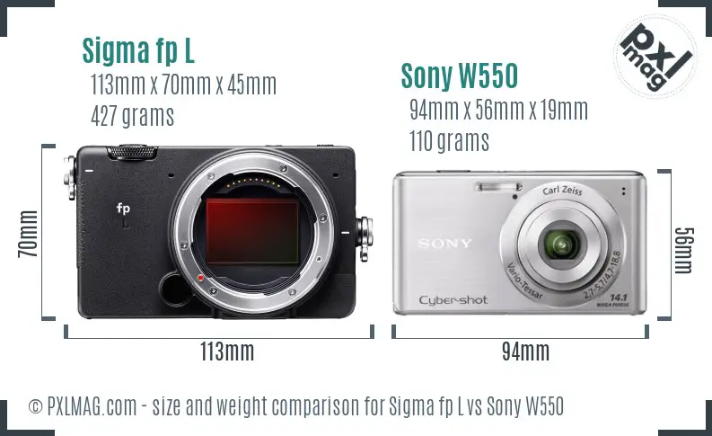 Sigma fp L vs Sony W550 size comparison