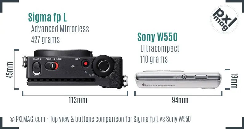Sigma fp L vs Sony W550 top view buttons comparison