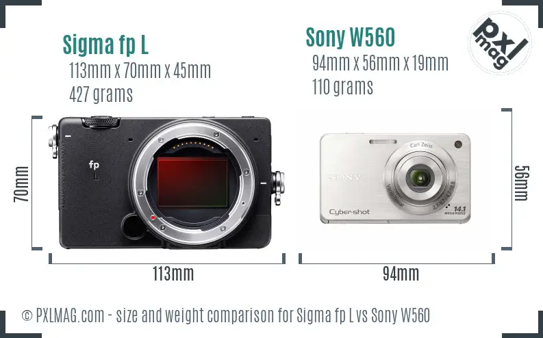 Sigma fp L vs Sony W560 size comparison Sigma fp L vs Sony W560 size comparison