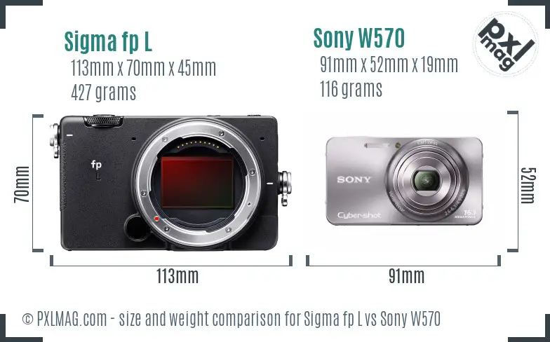 Sigma fp L vs Sony W570 size comparison