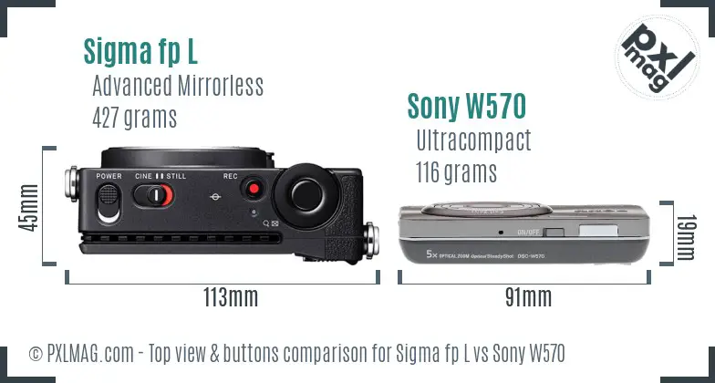 Sigma fp L vs Sony W570 top view buttons comparison