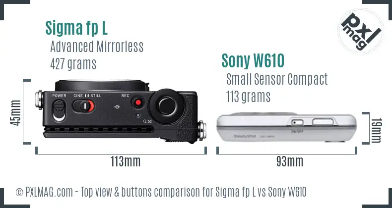 Sigma fp L vs Sony W610 top view buttons comparison