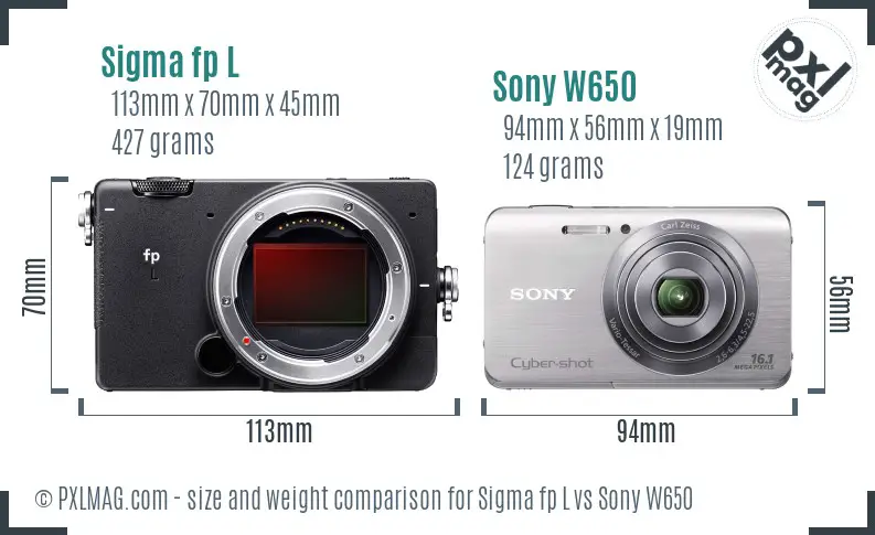 Sigma fp L vs Sony W650 size comparison