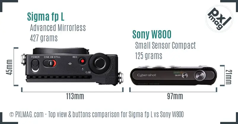Sigma fp L vs Sony W800 top view buttons comparison Sigma fp L vs Sony W800 top view buttons comparison