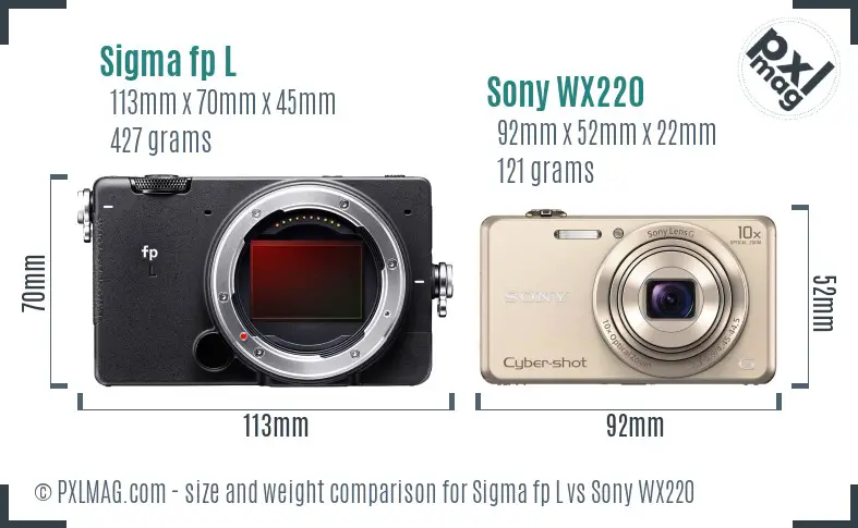 Sigma fp L vs Sony WX220 size comparison