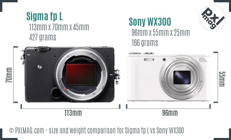 Sigma fp L vs Sony WX300 size comparison