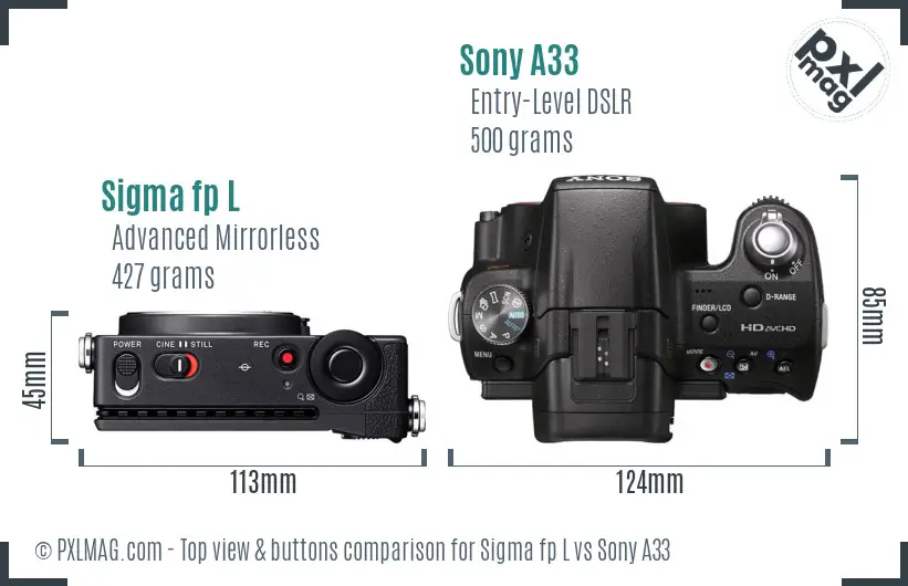 Sigma fp L vs Sony A33 top view buttons comparison