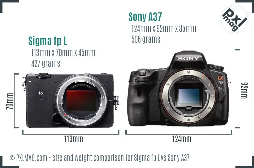 Sigma fp L vs Sony A37 size comparison