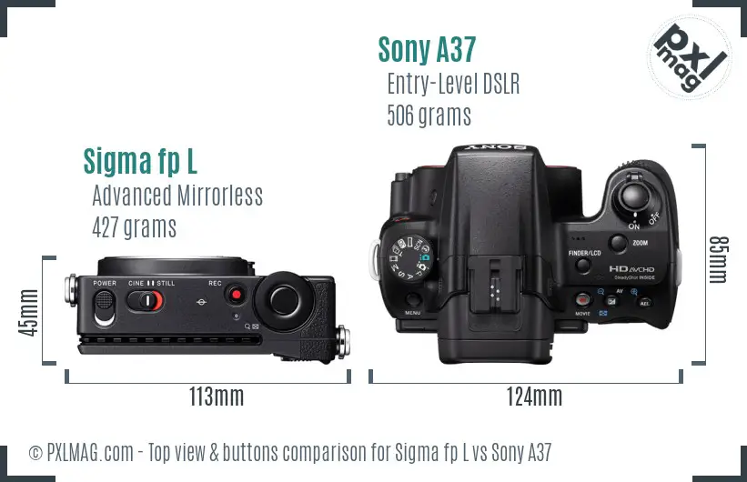 Sigma fp L vs Sony A37 top view buttons comparison