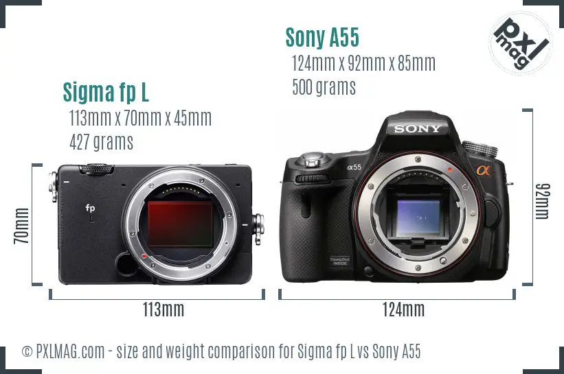 Sigma fp L vs Sony A55 size comparison