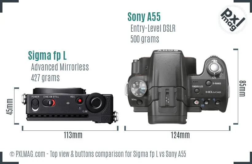Sigma fp L vs Sony A55 top view buttons comparison