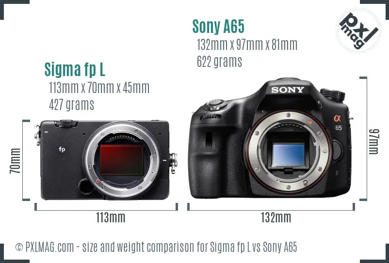 Sigma fp L vs Sony A65 size comparison