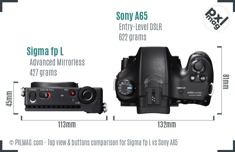 Sigma fp L vs Sony A65 top view buttons comparison