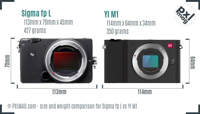 Sigma fp L vs YI M1 size comparison