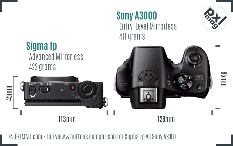 Sigma fp vs Sony A3000 top view buttons comparison