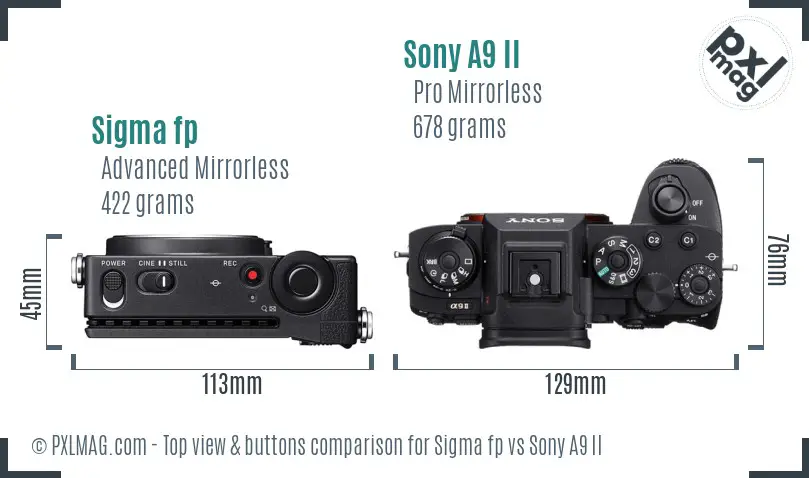 Sigma fp vs Sony A9 II top view buttons comparison