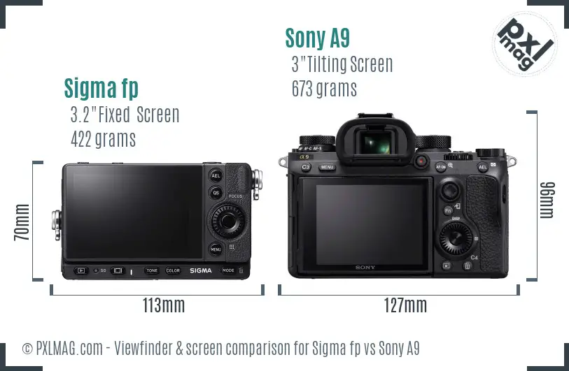 Sigma fp vs Sony A9 Screen and Viewfinder comparison