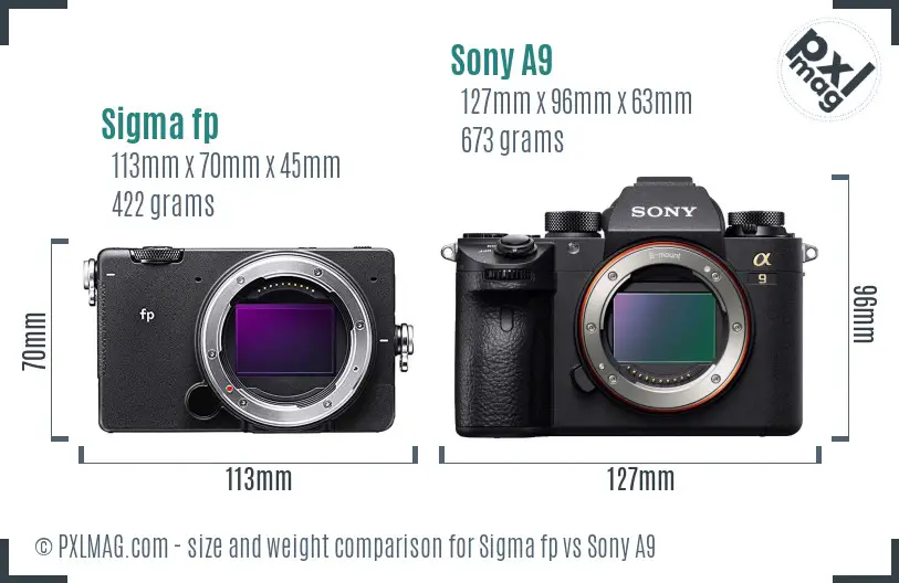 Sigma fp vs Sony A9 size comparison