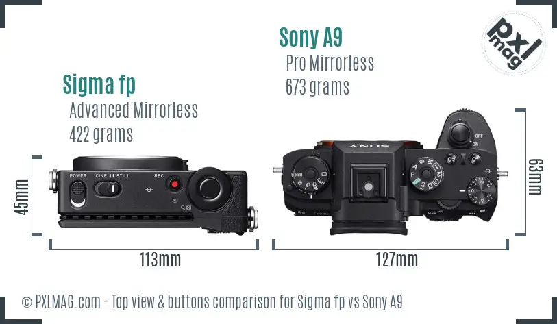 Sigma fp vs Sony A9 top view buttons comparison