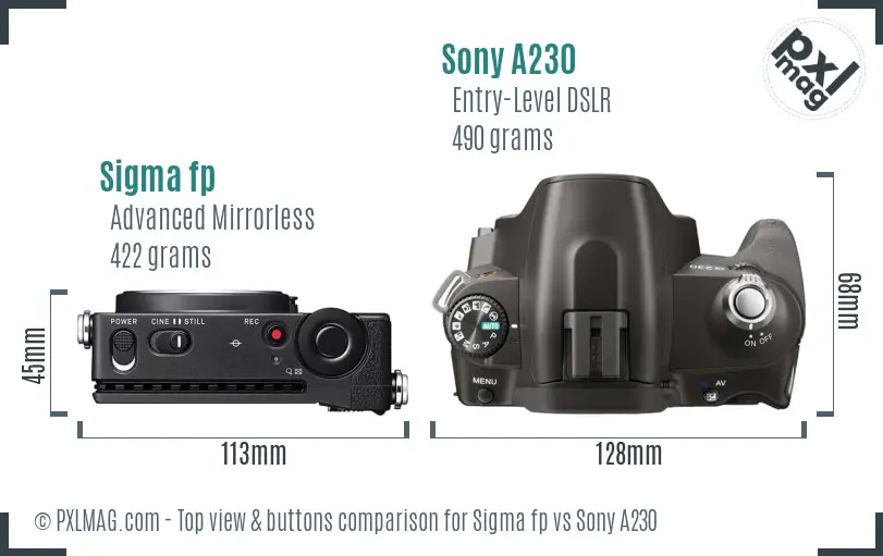 Sigma fp vs Sony A230 top view buttons comparison