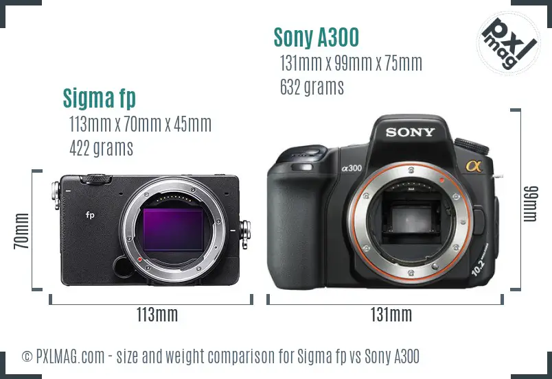 Sigma fp vs Sony A300 size comparison