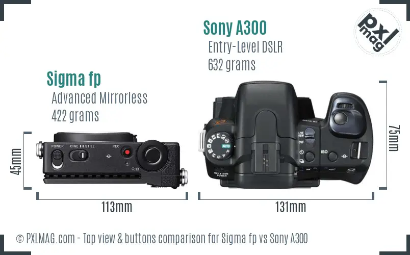 Sigma fp vs Sony A300 top view buttons comparison