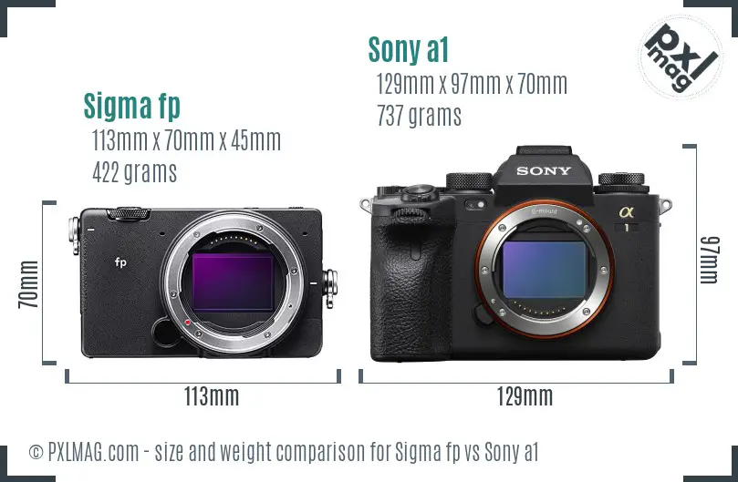 Sigma fp vs Sony a1 size comparison