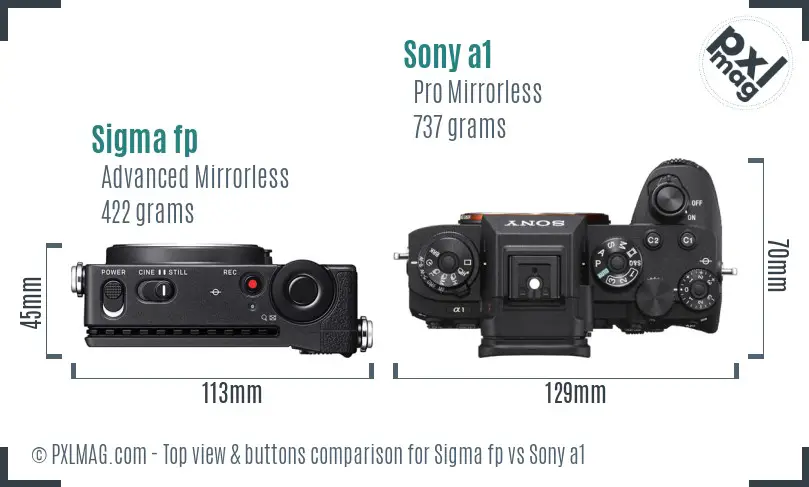 Sigma fp vs Sony a1 top view buttons comparison