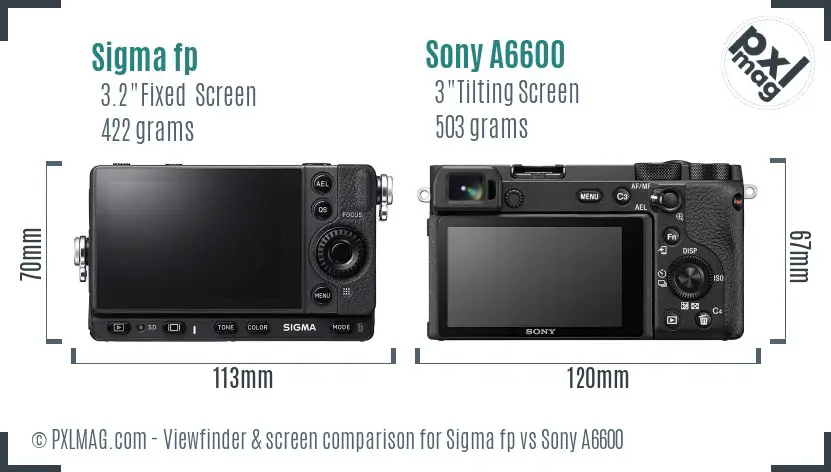 Sigma fp vs Sony A6600 Screen and Viewfinder comparison