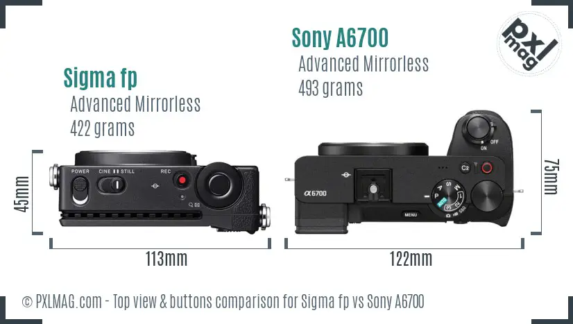 Sigma fp vs Sony A6700 top view buttons comparison