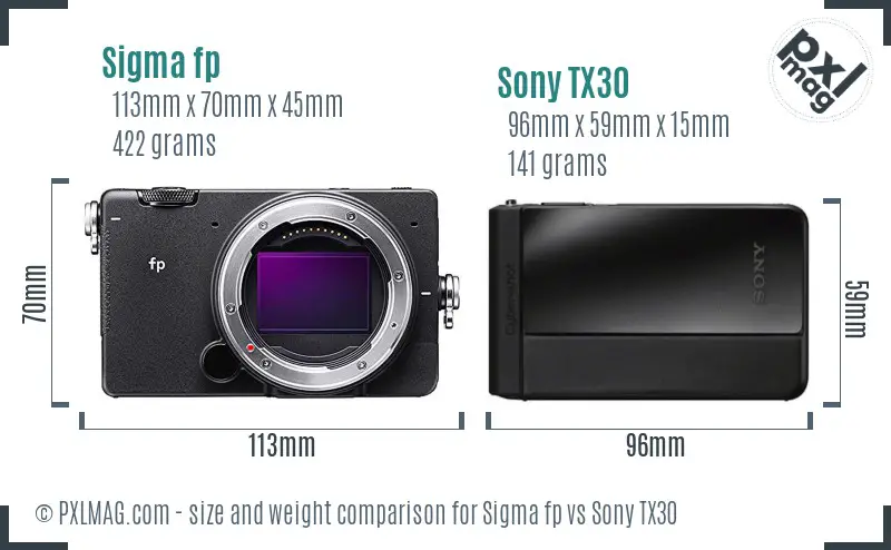 Sigma fp vs Sony TX30 size comparison
