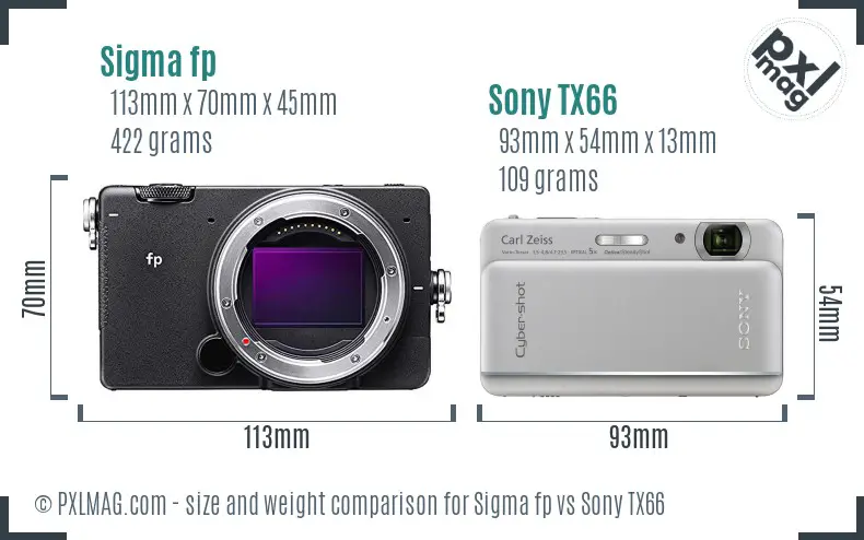 Sigma fp vs Sony TX66 size comparison