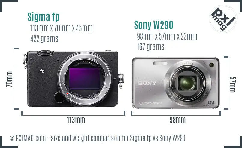 Sigma fp vs Sony W290 size comparison