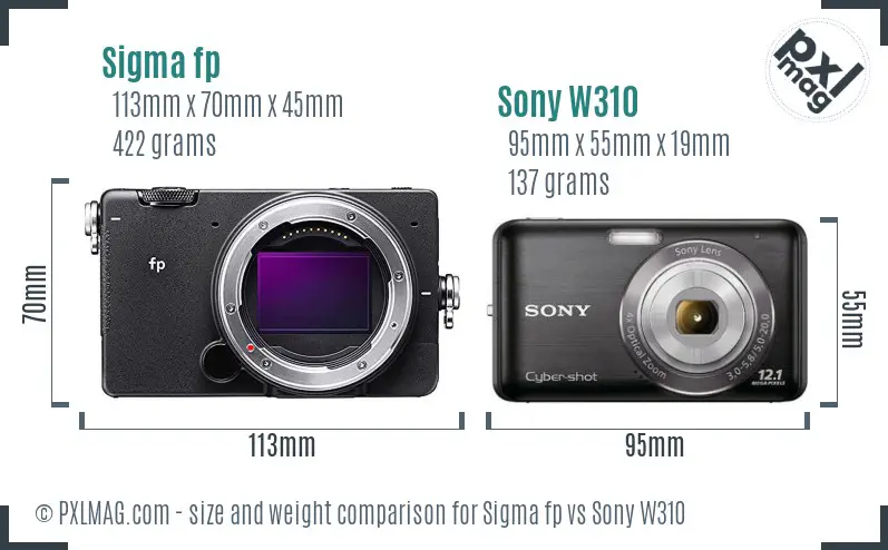 Sigma fp vs Sony W310 size comparison